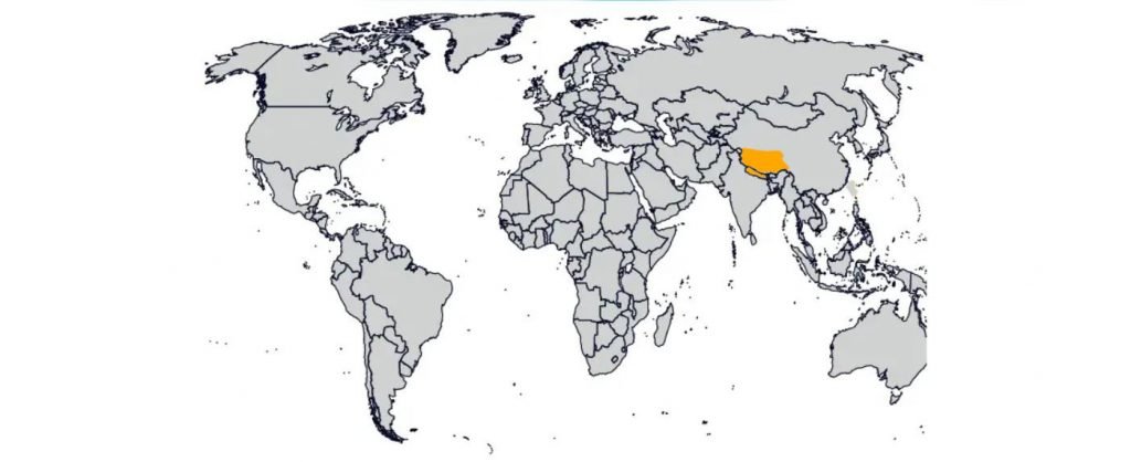 tibet-e-nepal